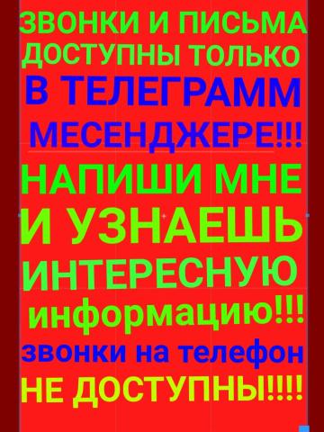 Индивидуалка Далия Фотография 11